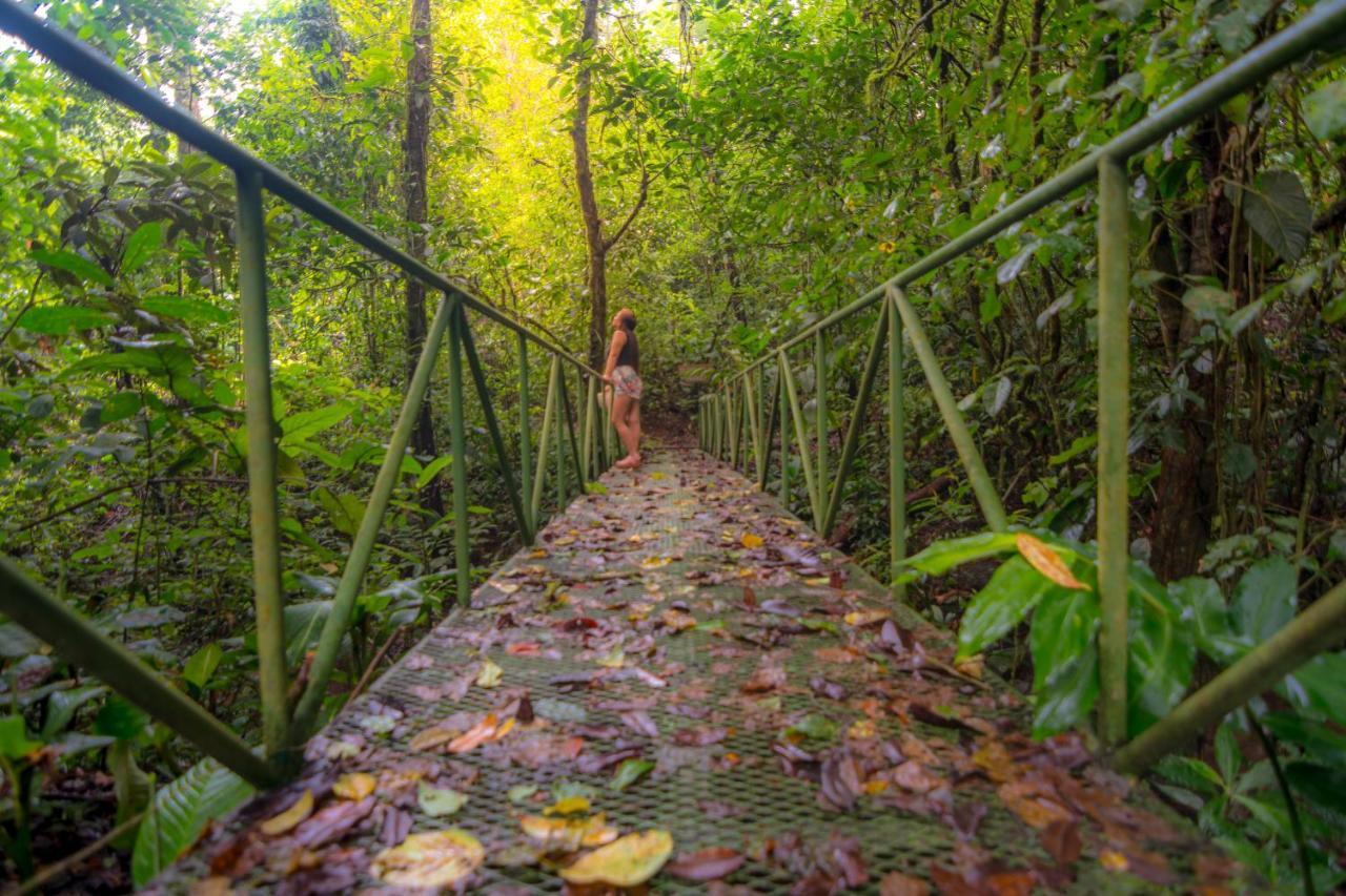 Quesada  Avita Lodge المظهر الخارجي الصورة